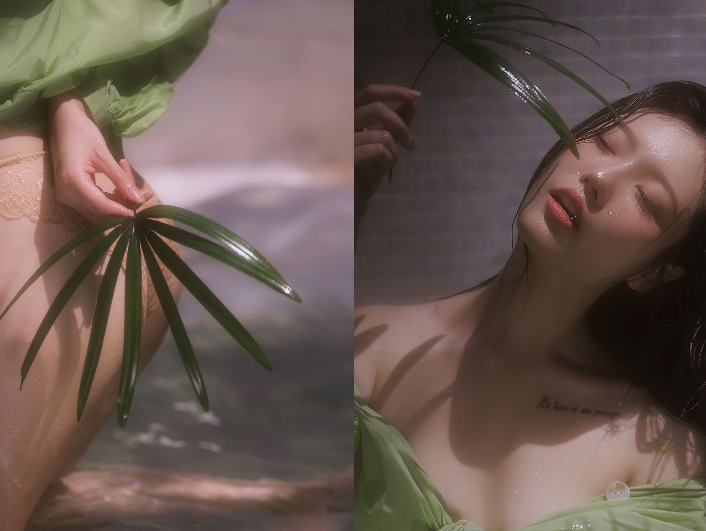桃良阿宅 - 绿意