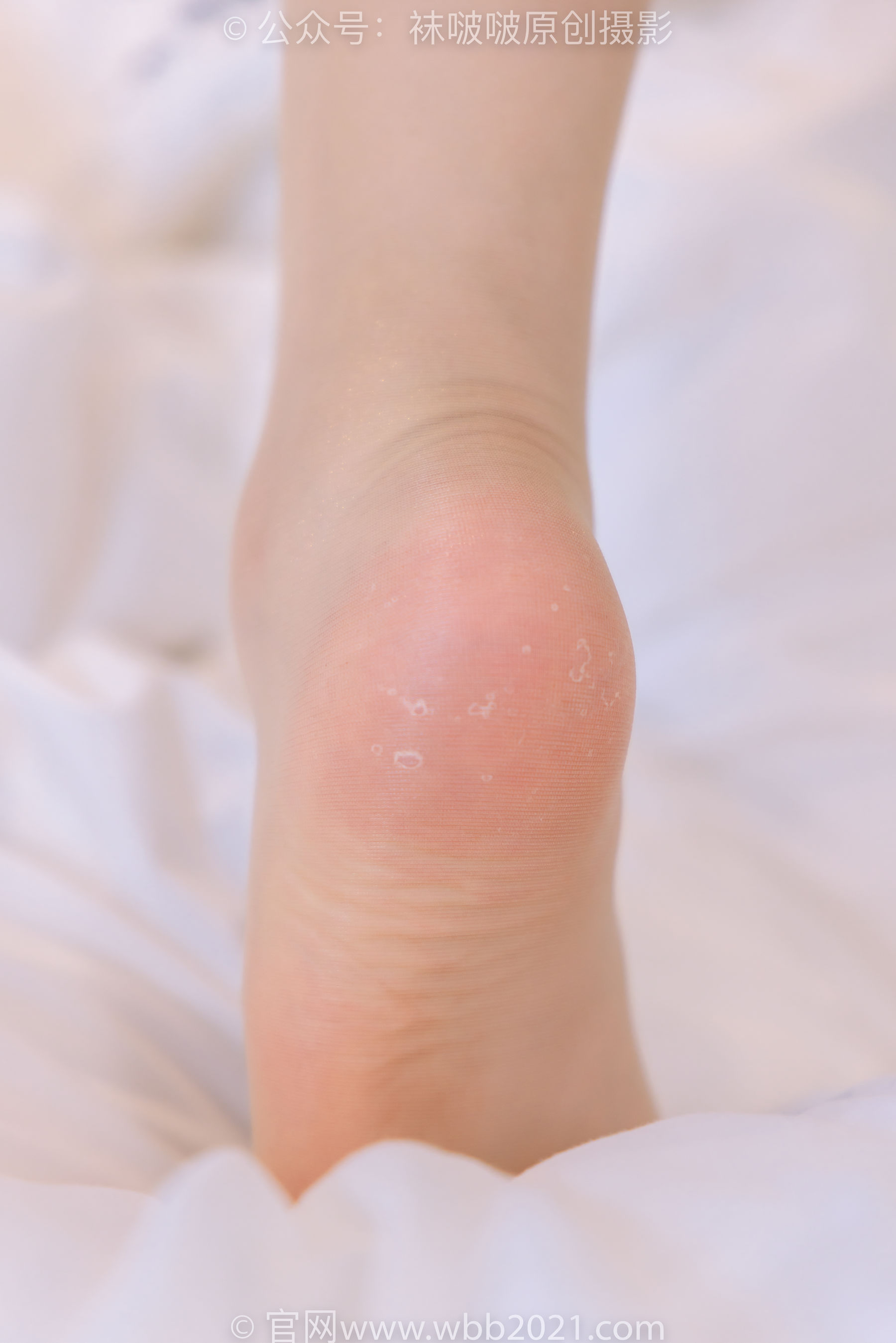BoBoSocks袜啵啵 No.405 小甜豆 -匡威板鞋、肉丝