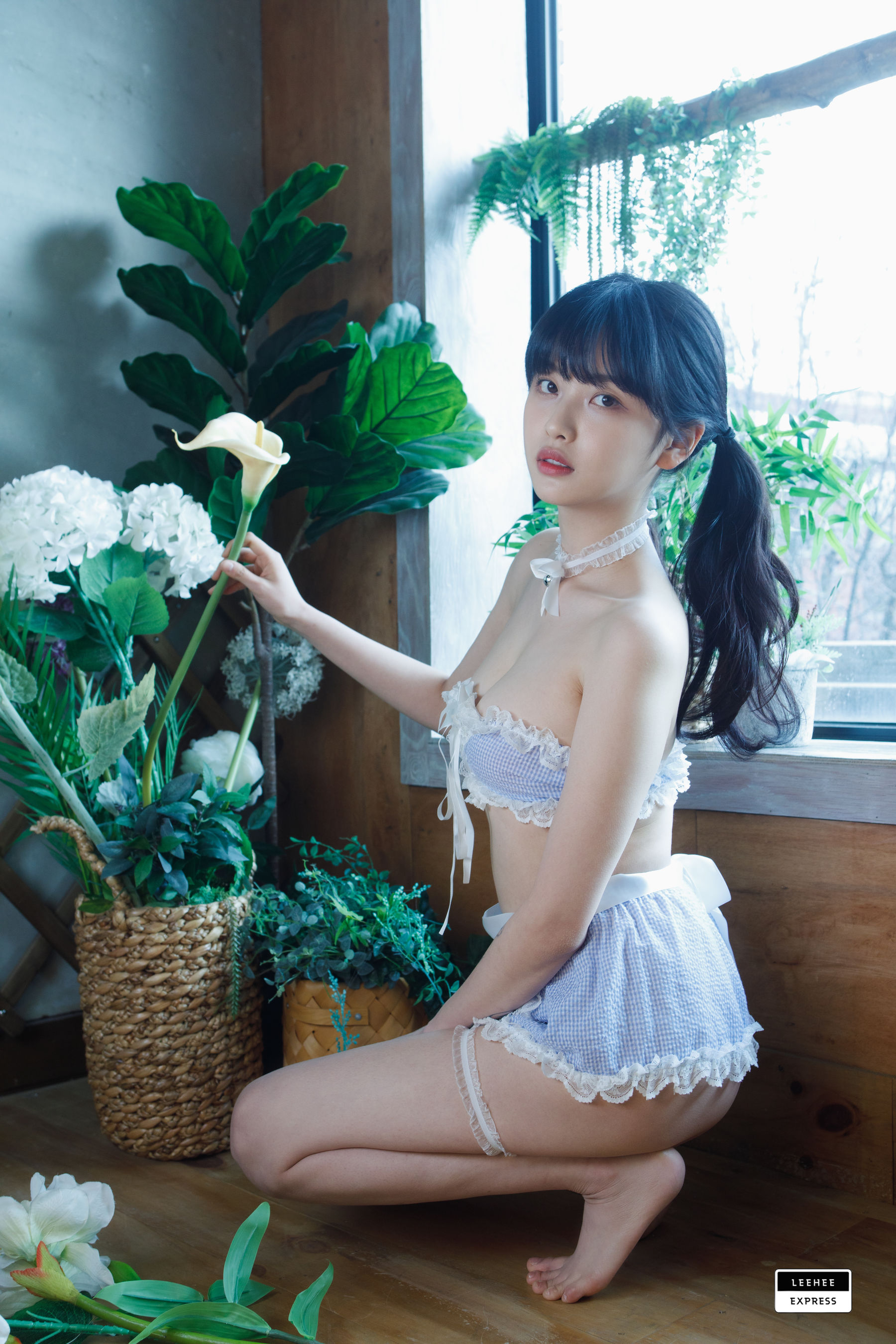 [LEEHEE EXPRESS] LEDG-118A - GMS