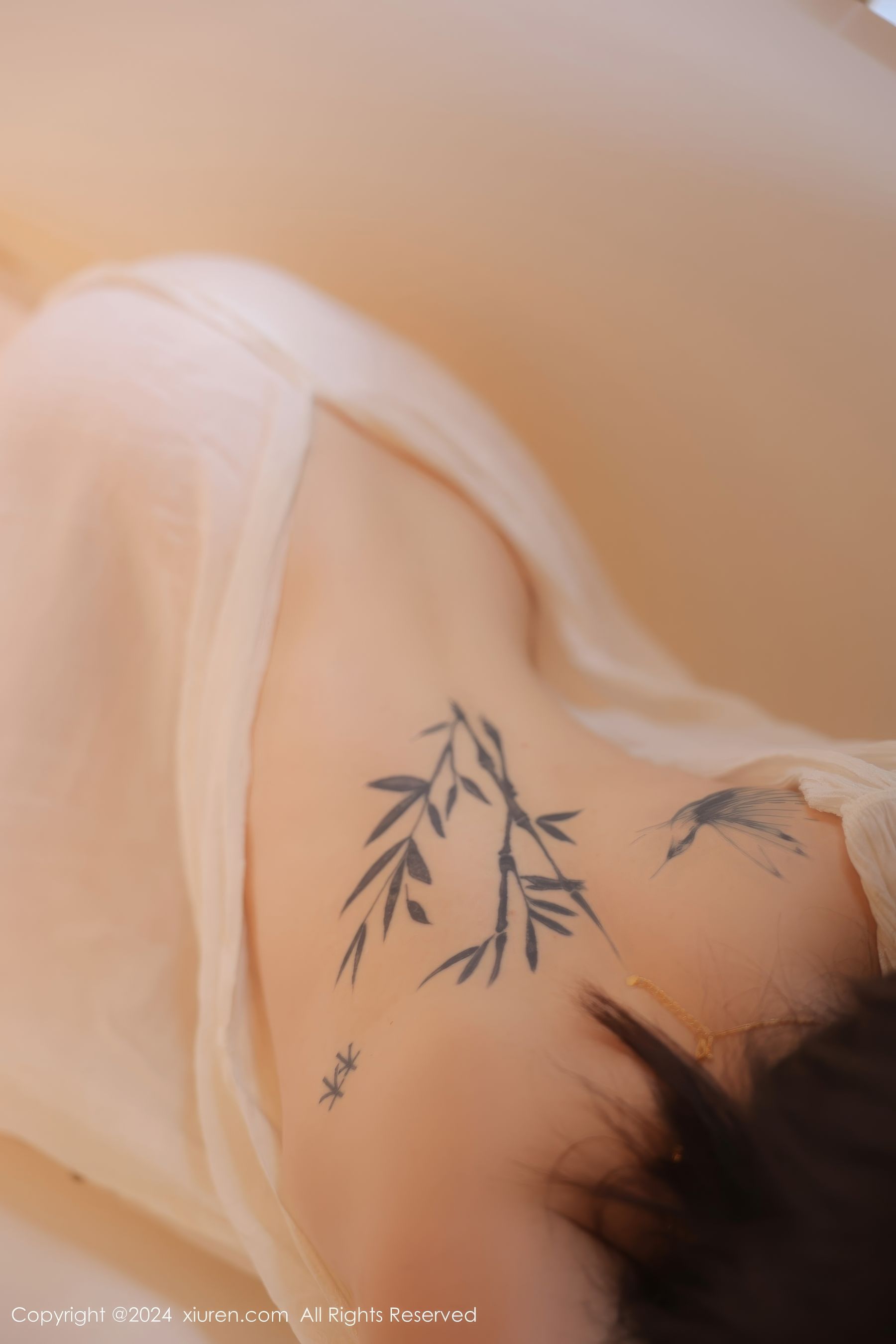 [秀人XiuRen] 2024.07.11 No.8842 夏竹