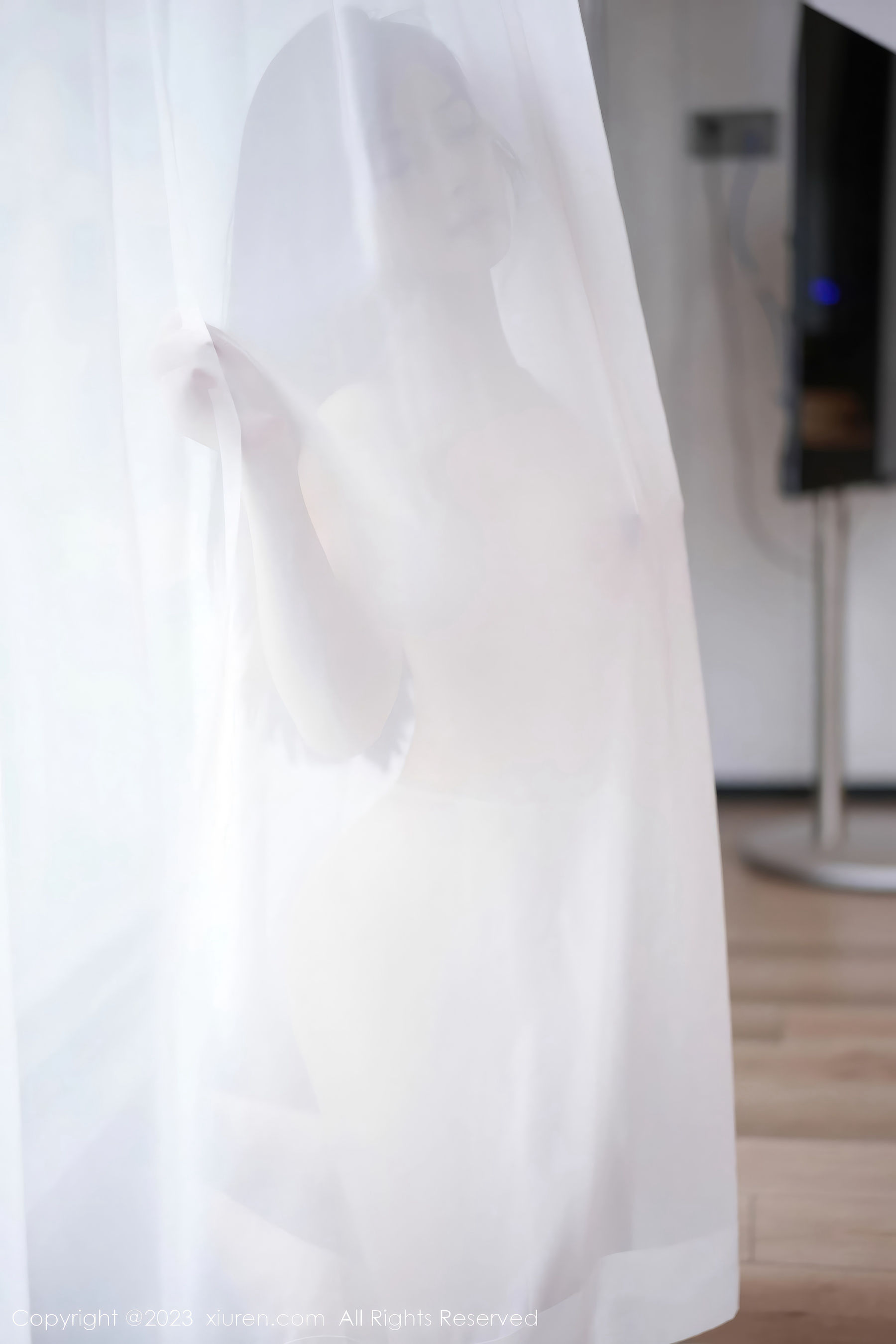 [秀人XiuRen] 2023.10.27 No.7572 谭小灵