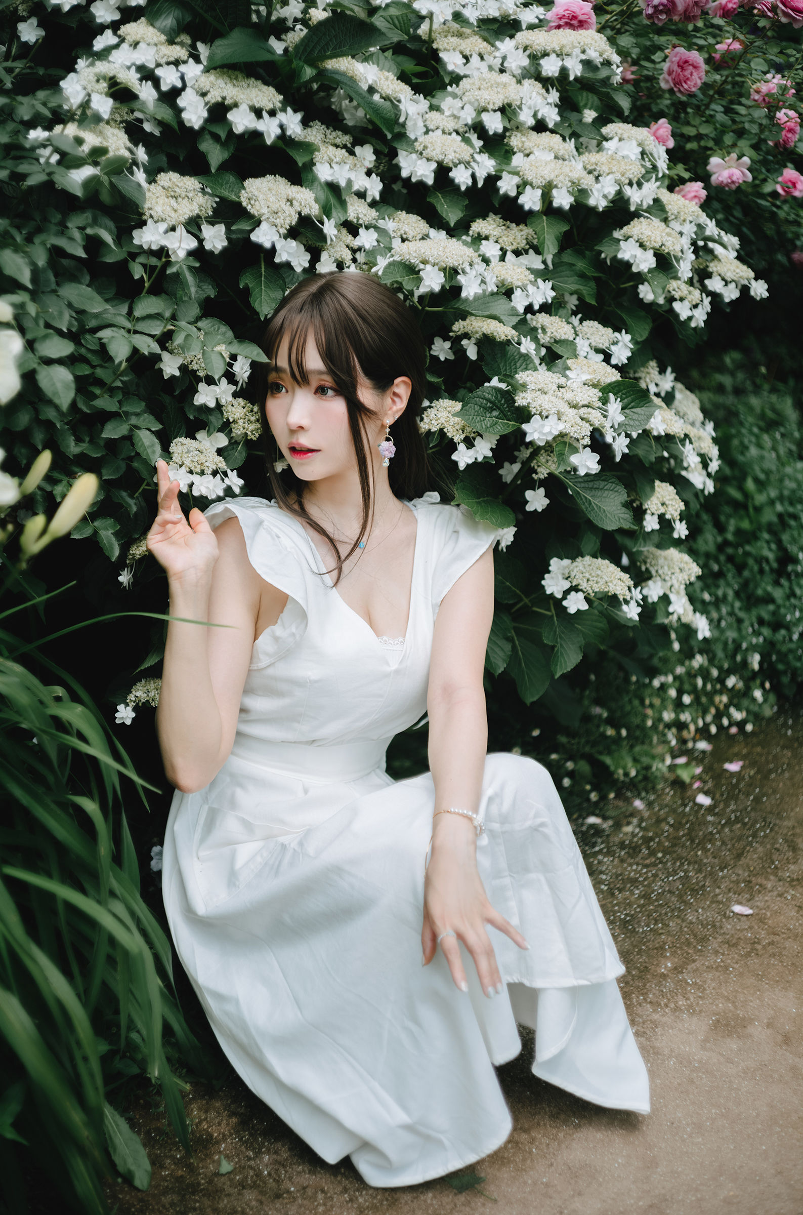Ely_eee(ElyEE子) - Rainy Season 雨季繡球花