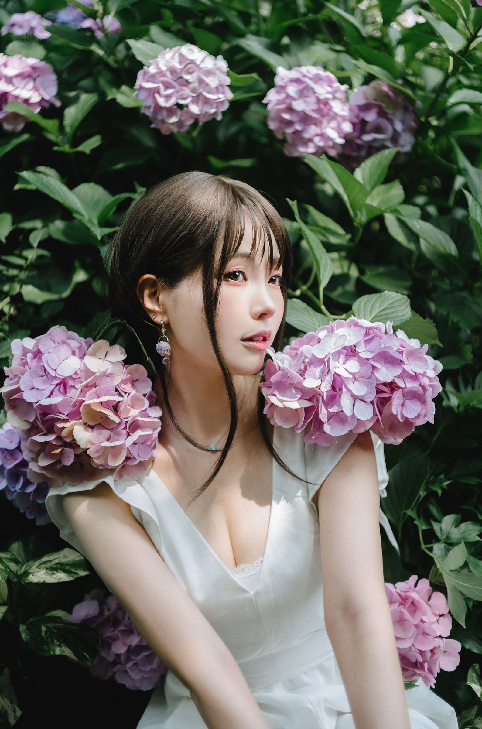 Ely_eee(ElyEE子) - Rainy Season 雨季繡球花