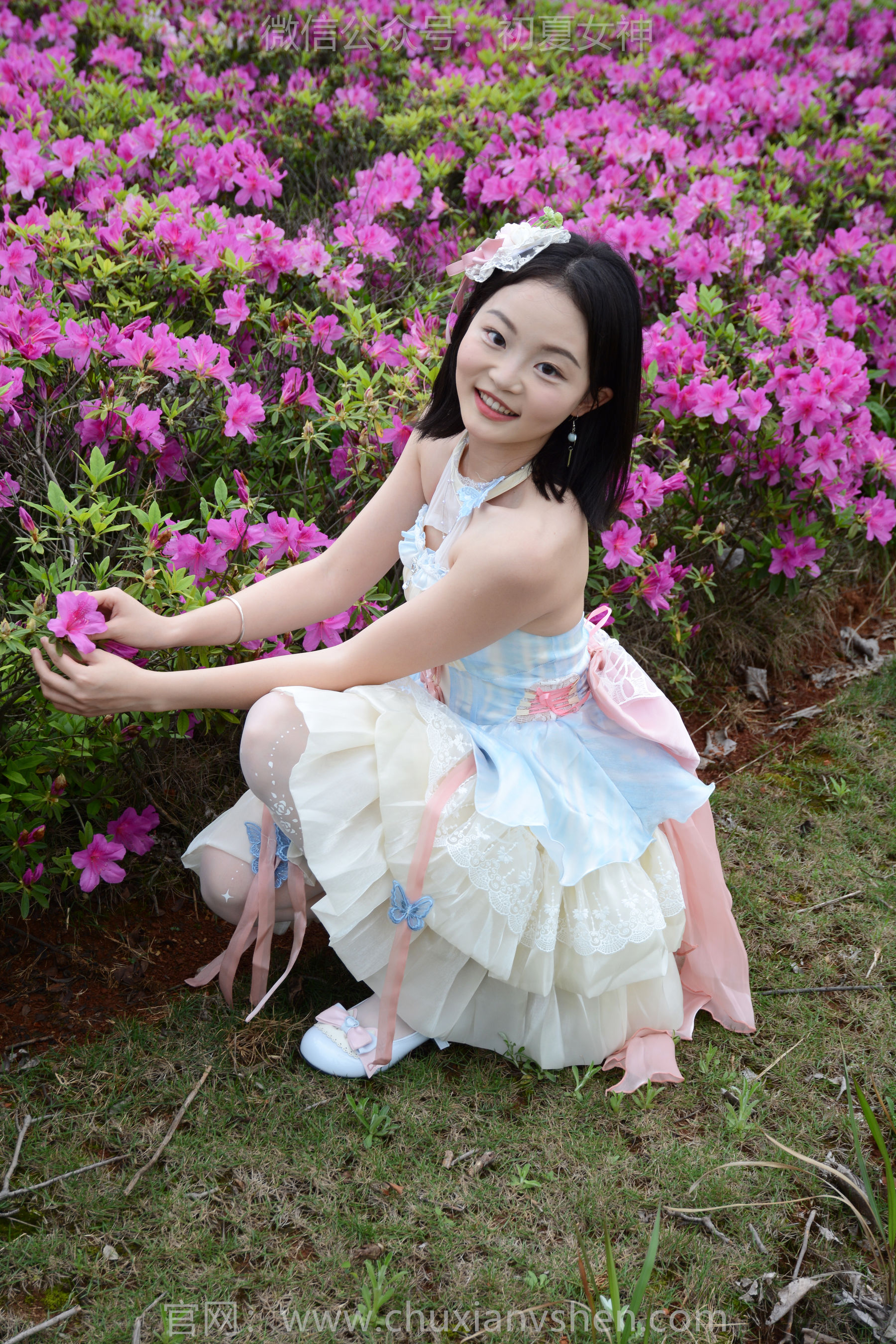 初夏女神 No.200 双双 杜鹃仙子