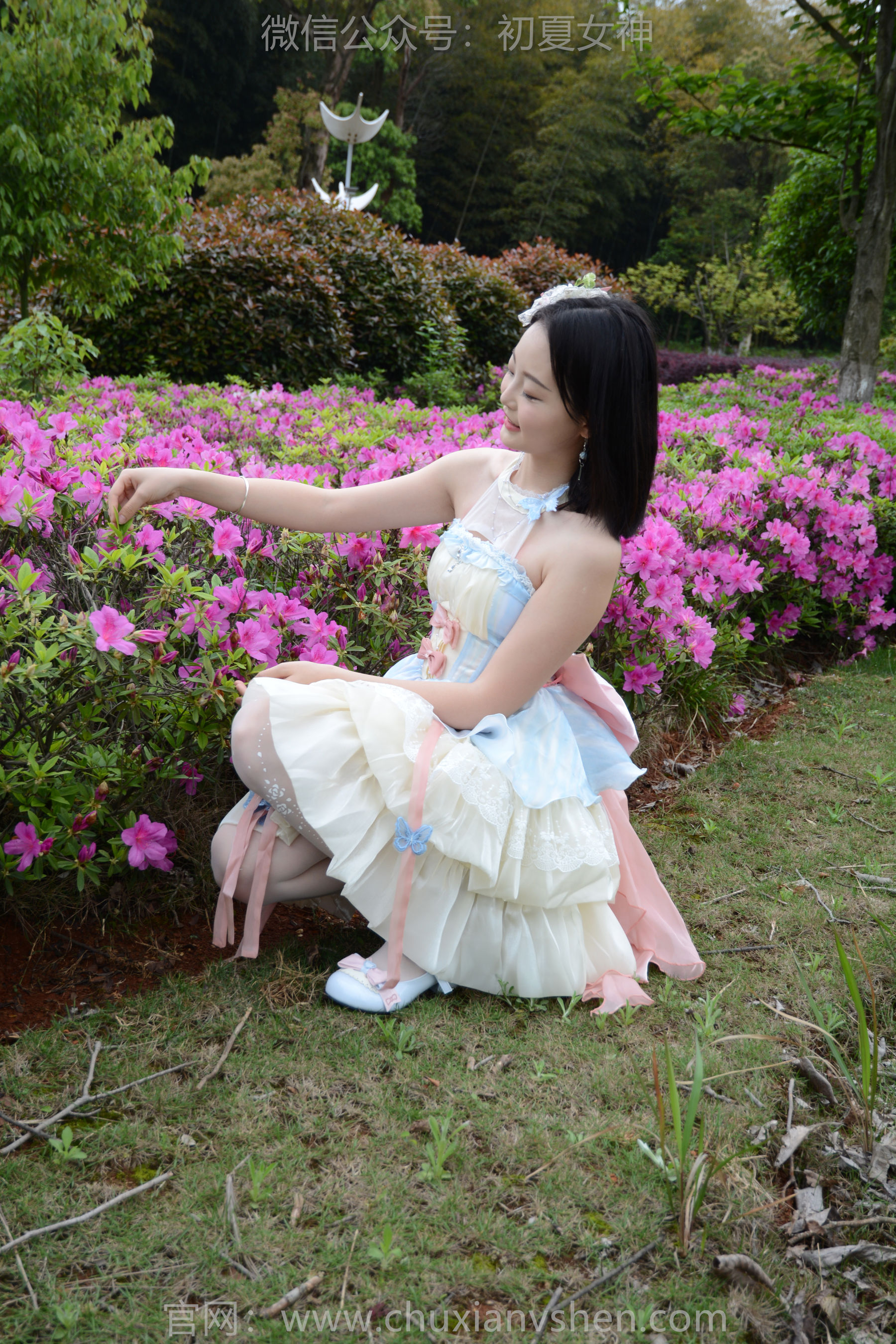 初夏女神 No.200 双双 杜鹃仙子