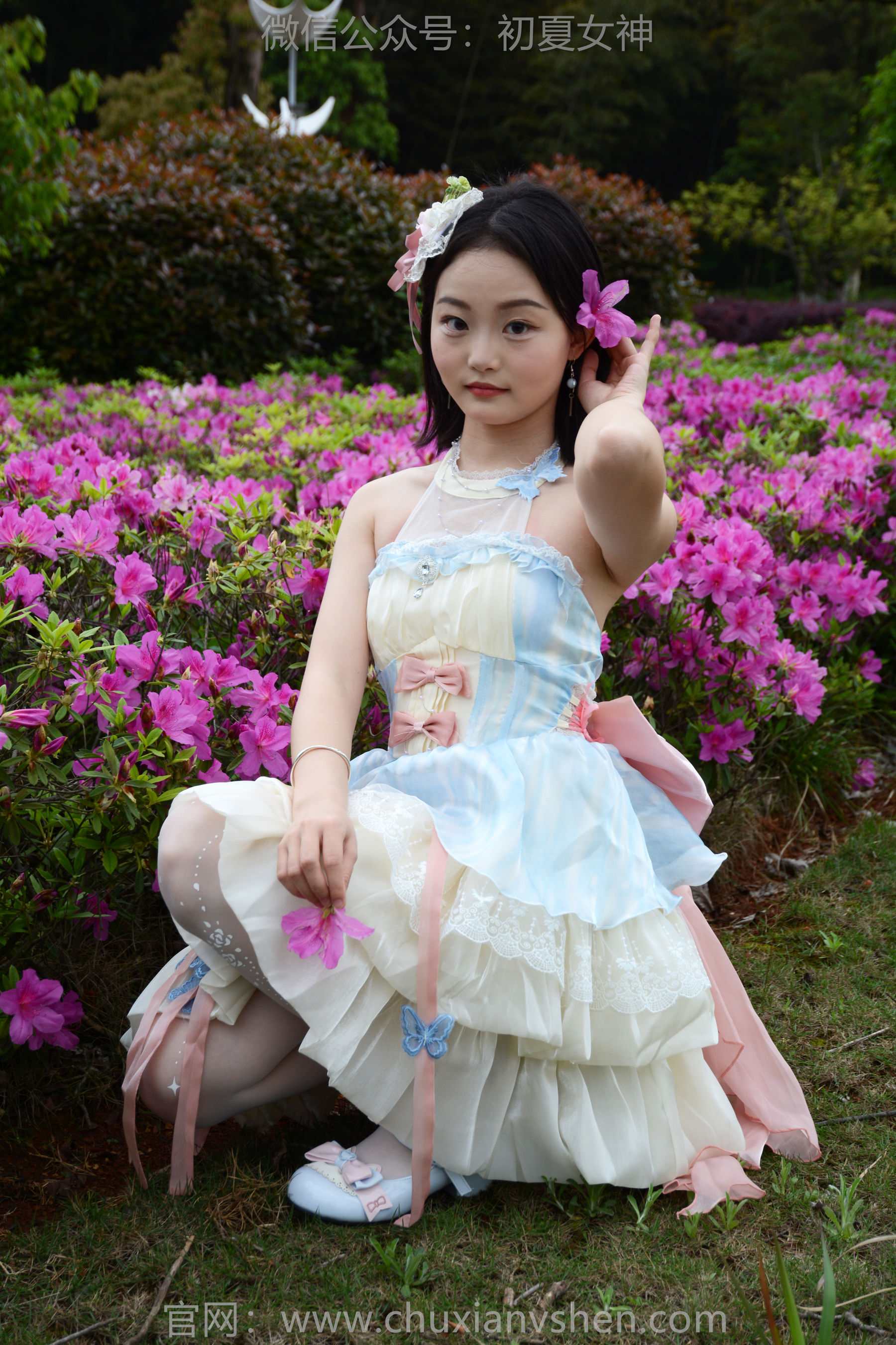 初夏女神 No.200 双双 杜鹃仙子