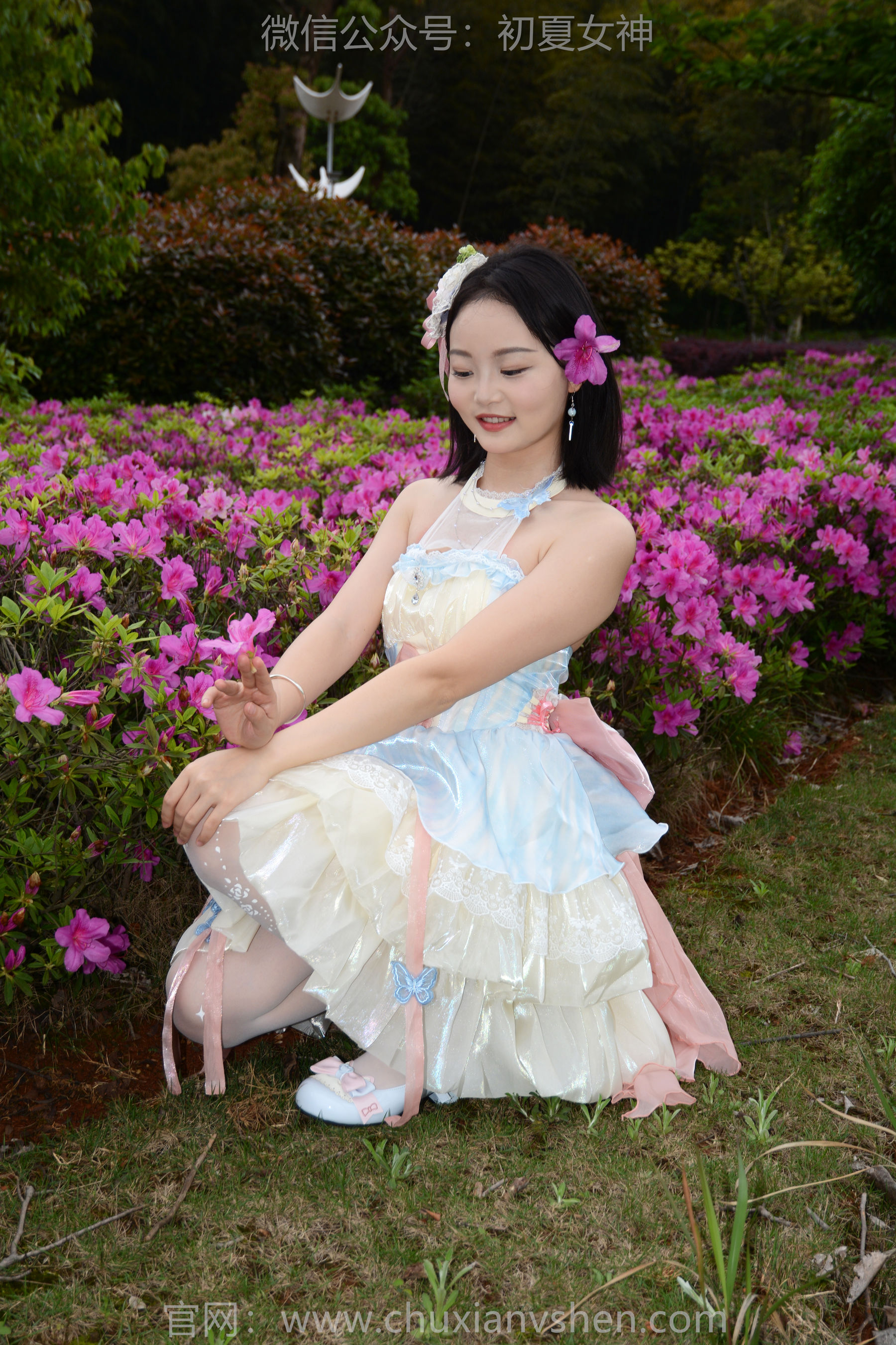 初夏女神 No.200 双双 杜鹃仙子