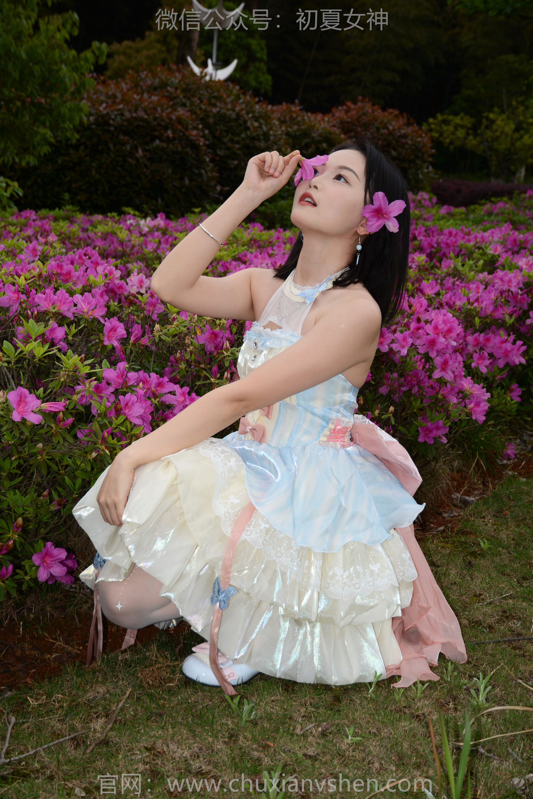 初夏女神 No.200 双双 杜鹃仙子