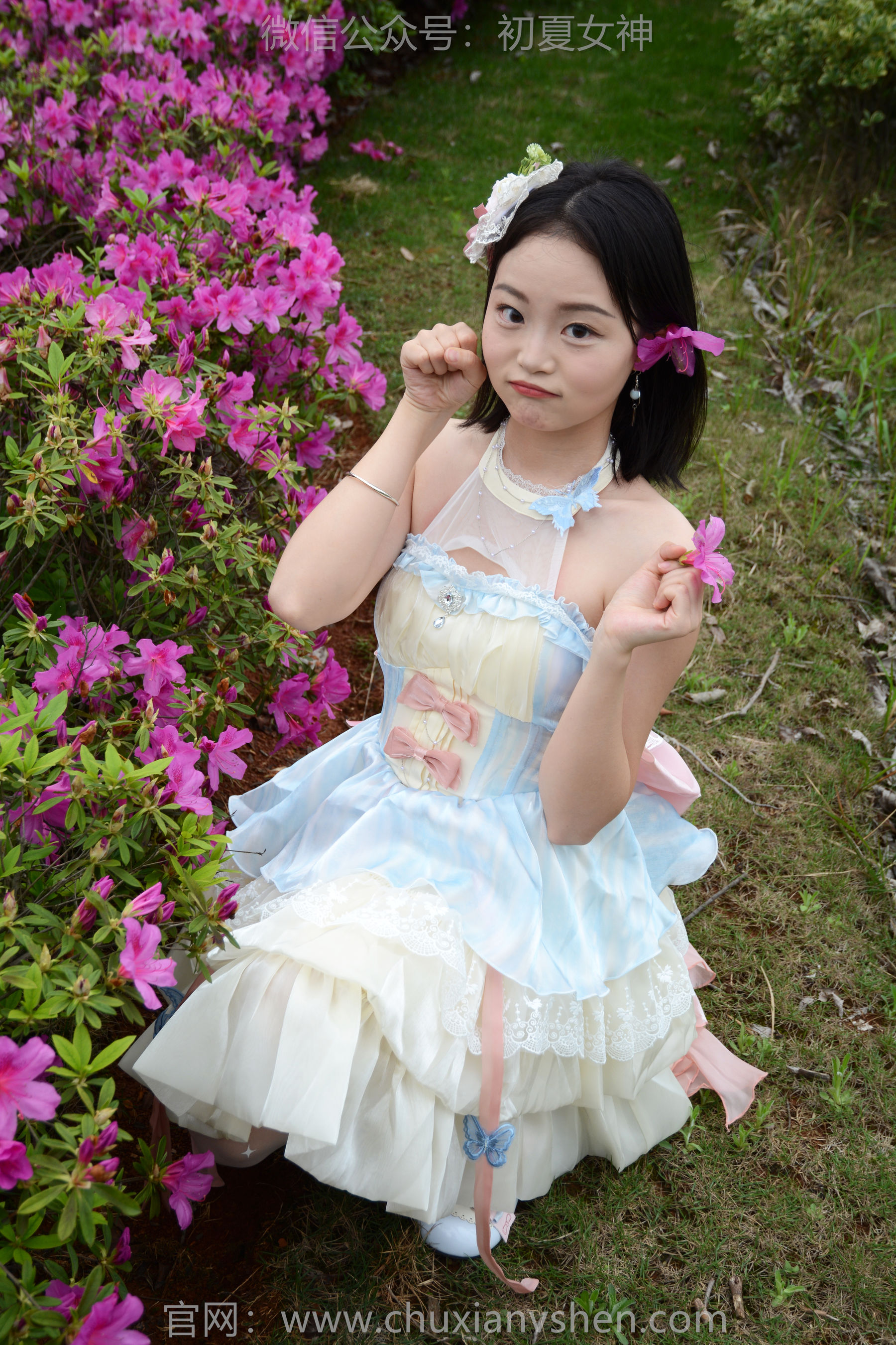 初夏女神 No.200 双双 杜鹃仙子