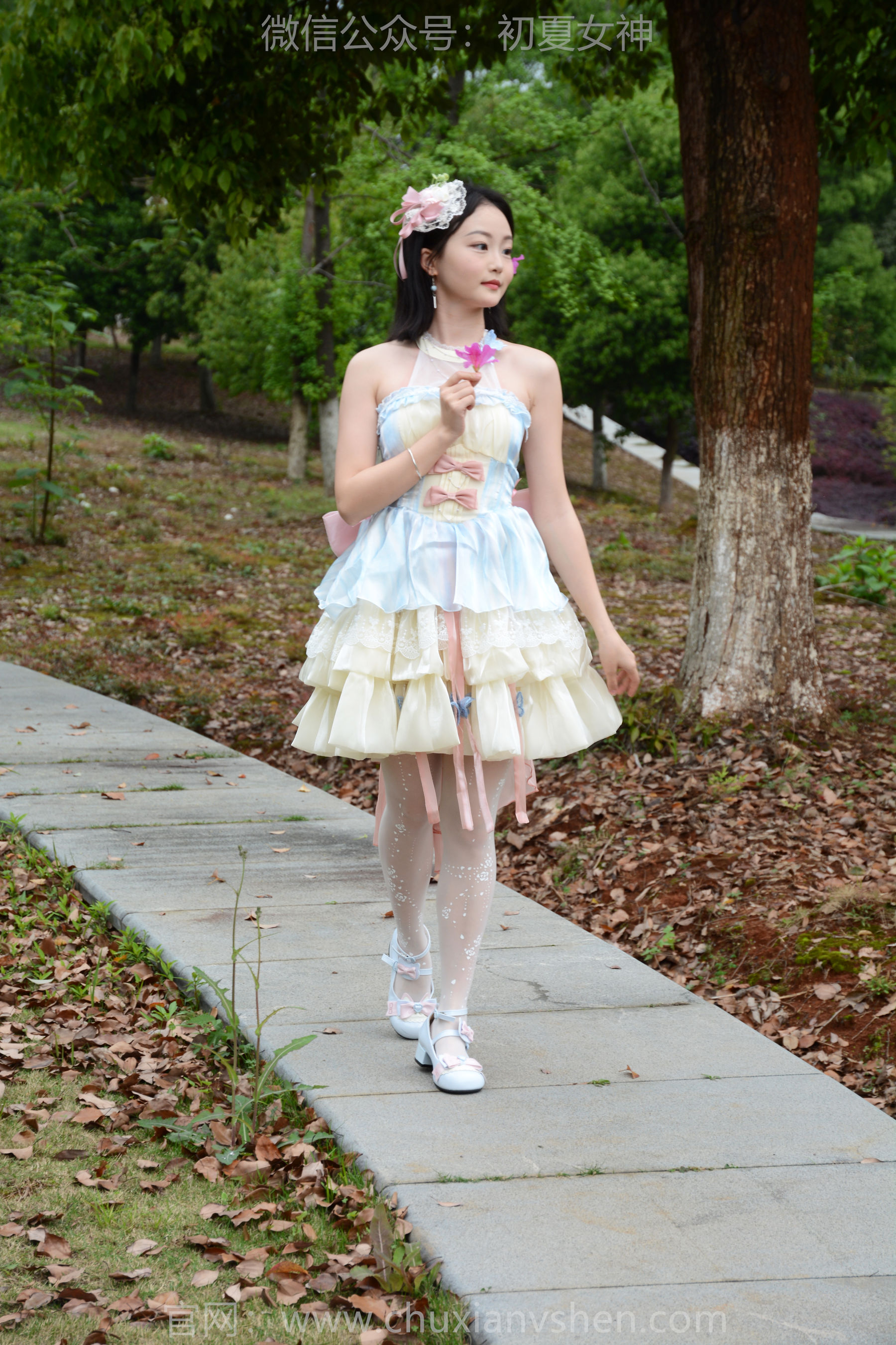 初夏女神 No.200 双双 杜鹃仙子