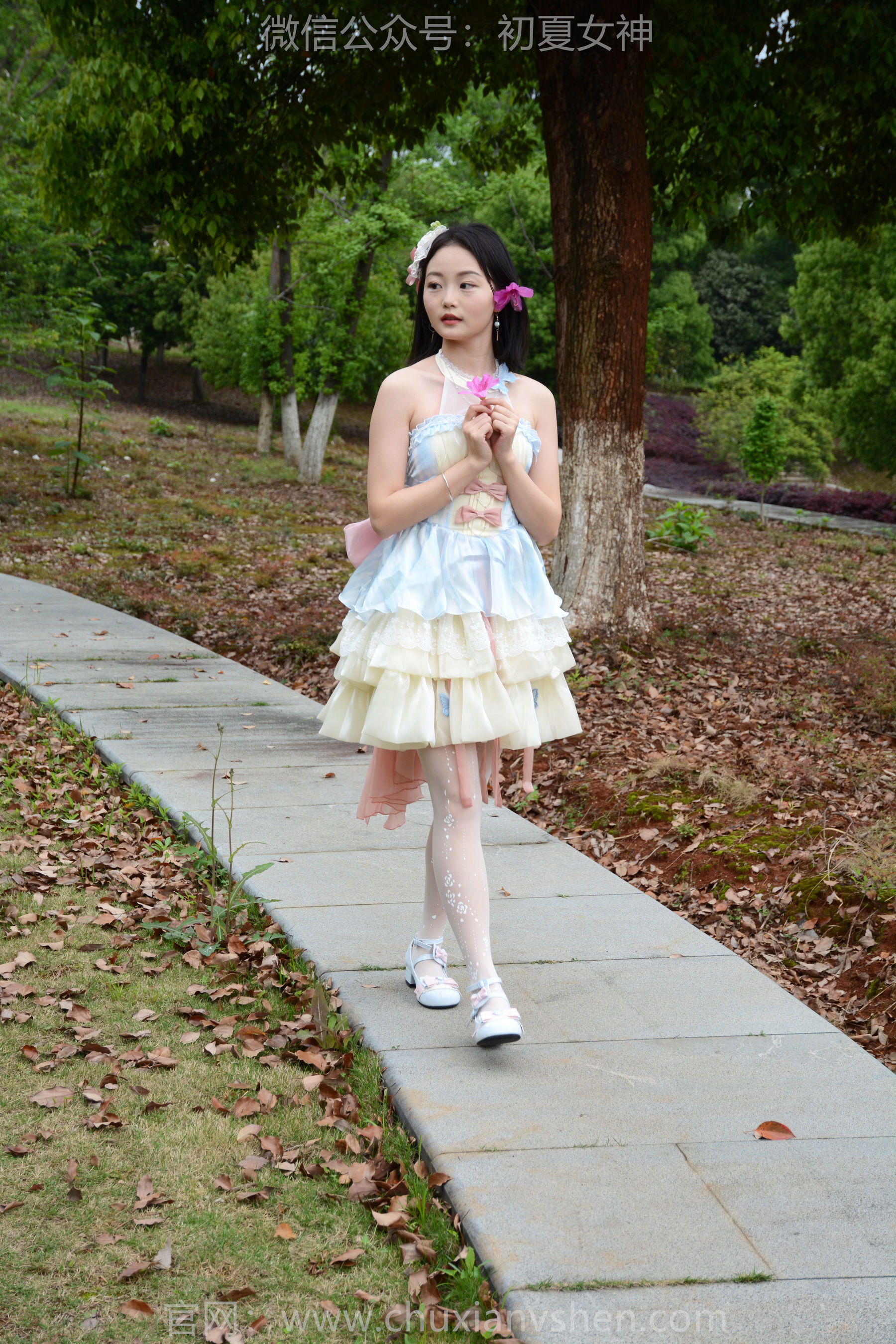 初夏女神 No.200 双双 杜鹃仙子