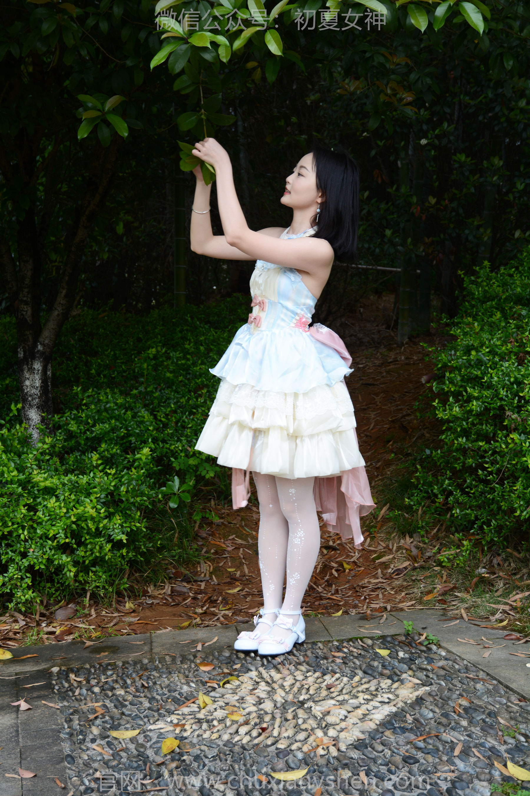 初夏女神 No.200 双双 杜鹃仙子