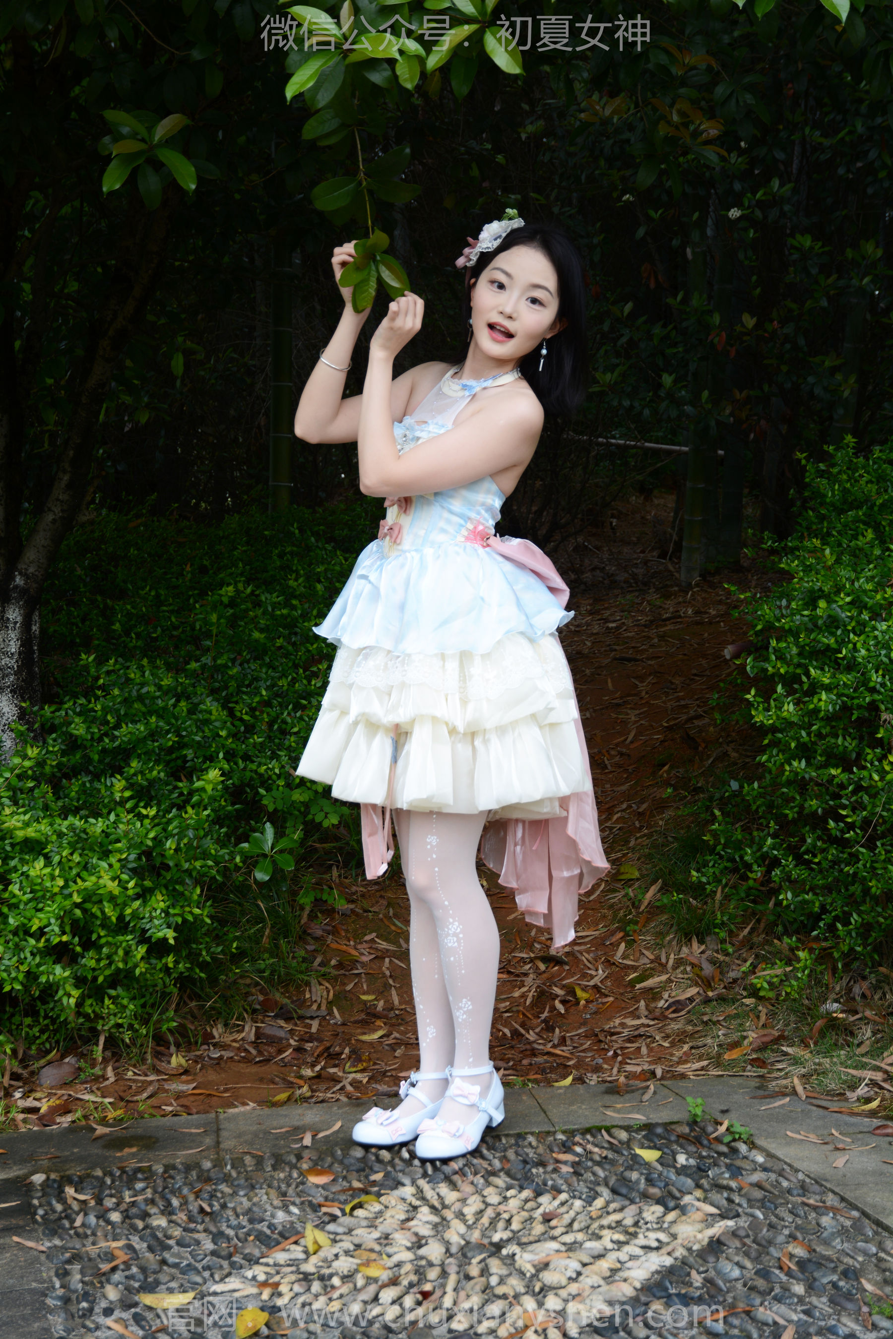 初夏女神 No.200 双双 杜鹃仙子